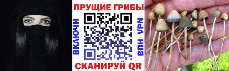 Галлюциногенные грибы ЛСД Мензелинск